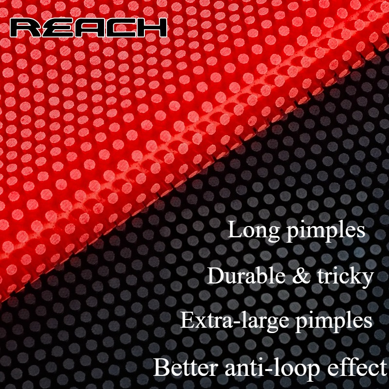 Reach C-8 C-801 Table-tennis R – обзор и цена Table Tennis Shop