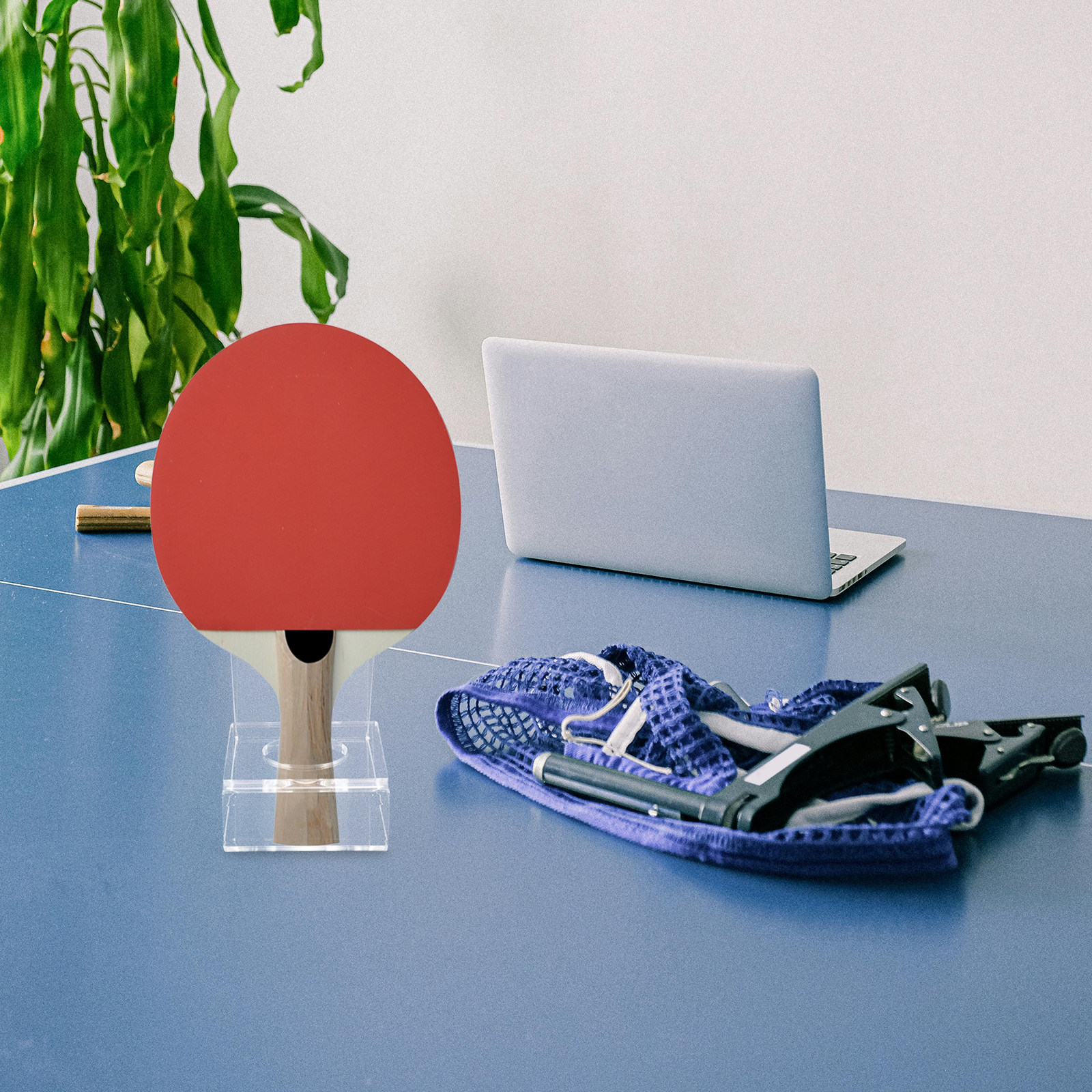 Transparent Table Tennis Paddl – обзор и цена Table Tennis Ranking